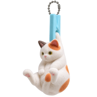 Calico Cat