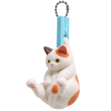 Calico Cat