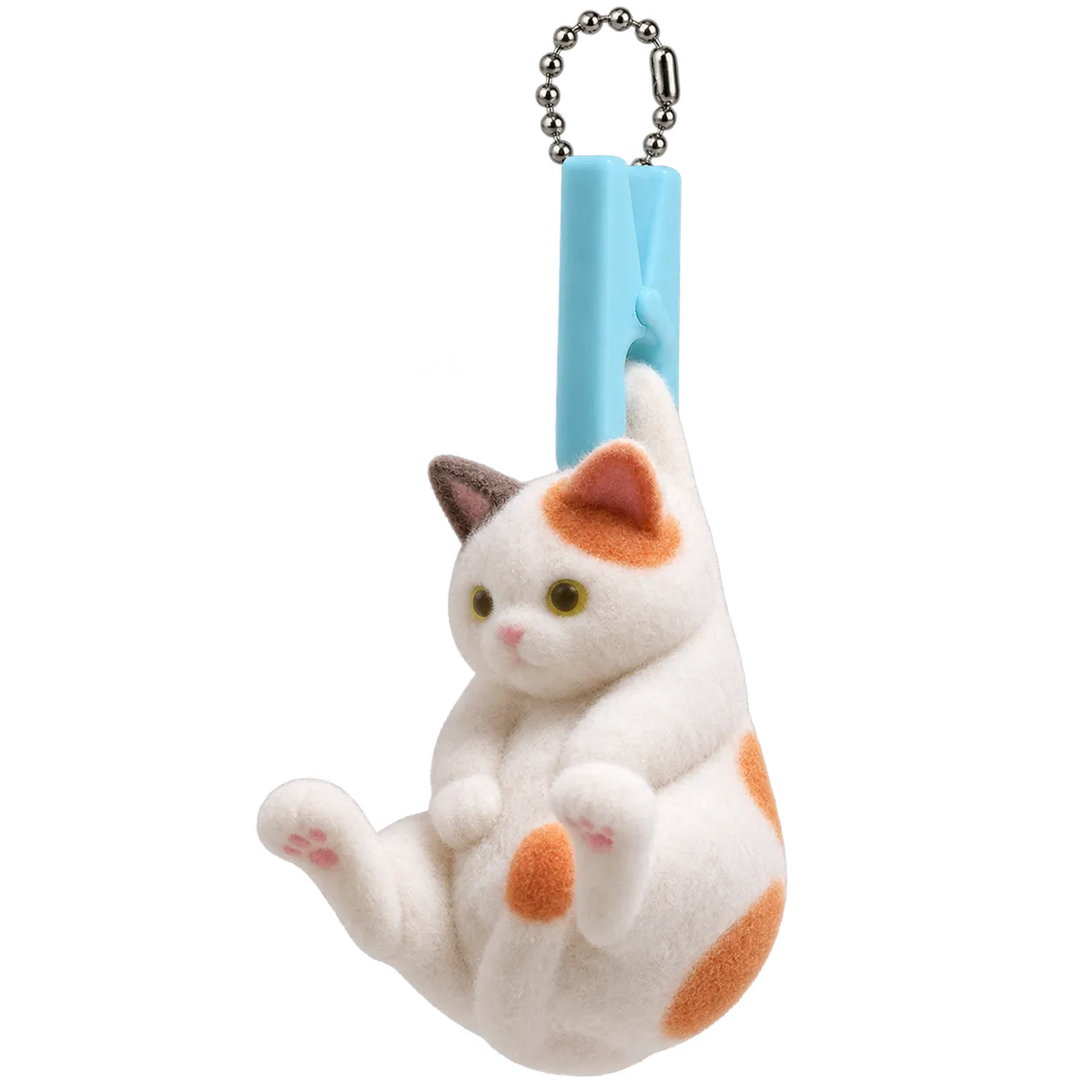 Calico Cat