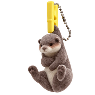 Holland Lop Rabbit