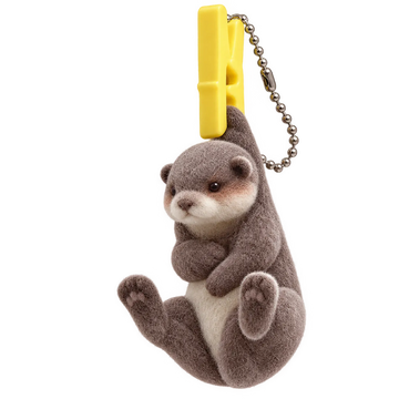 Holland Lop Rabbit