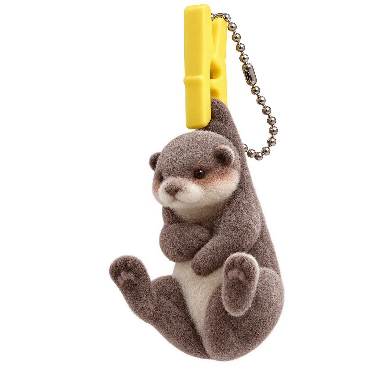 Holland Lop Rabbit