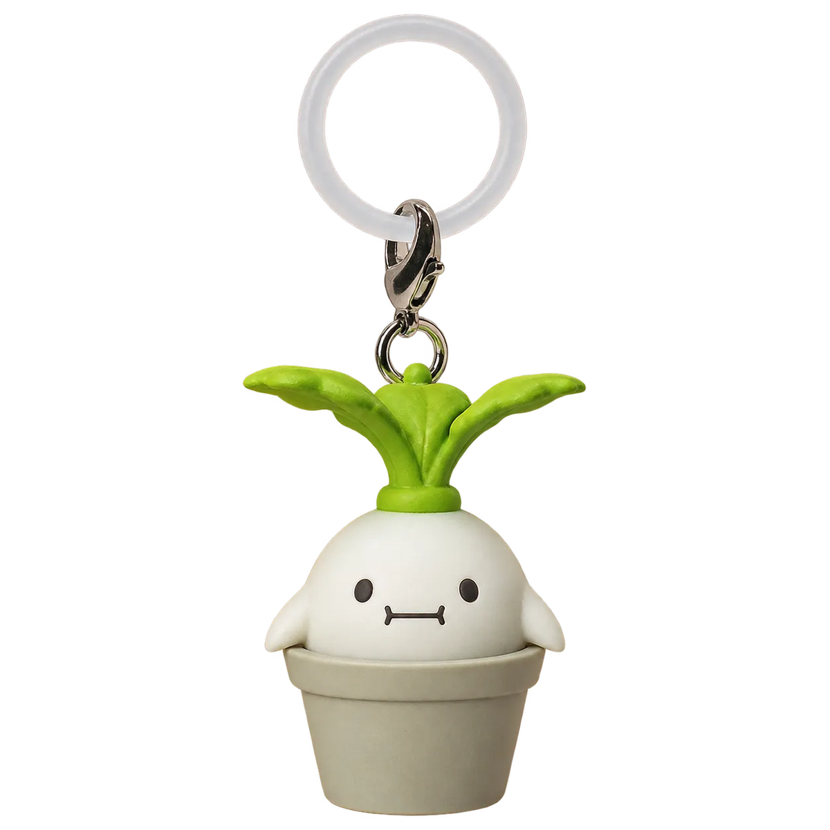 Onion