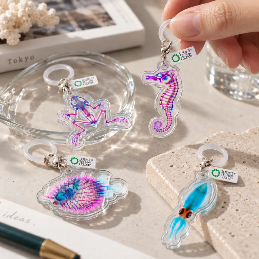Transparent Specimen Animal Charm Collection