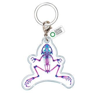 Fan Crab