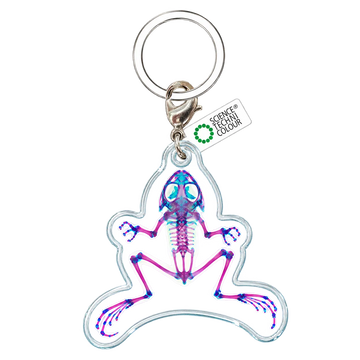Fan Crab