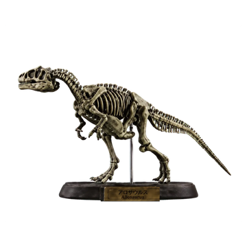Allosaurus Bone