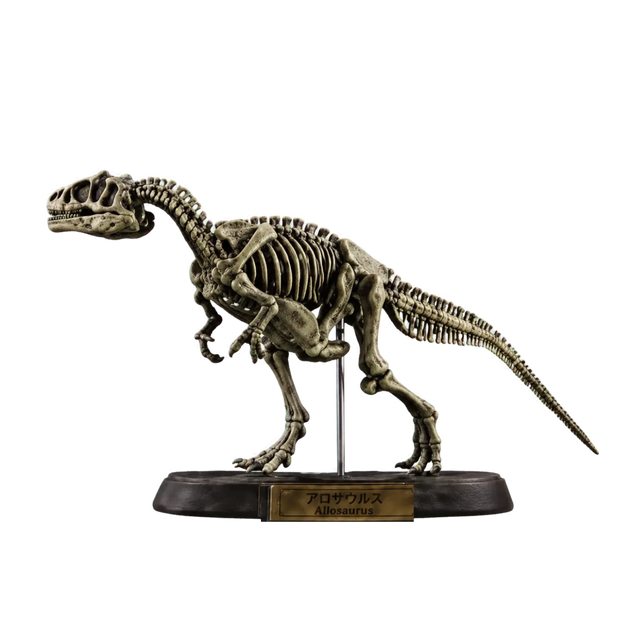 Allosaurus Bone