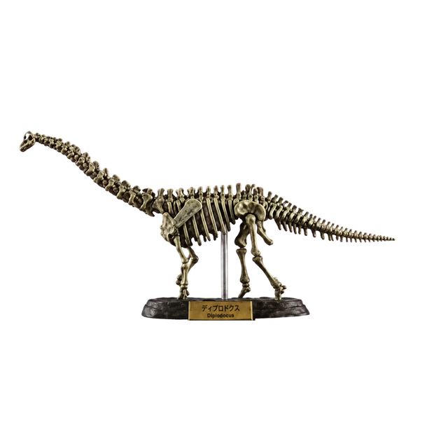 Diplodocus Bone