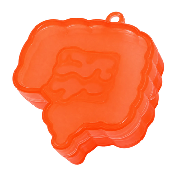 Intestine