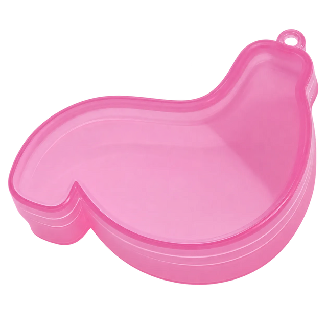 Stomach
