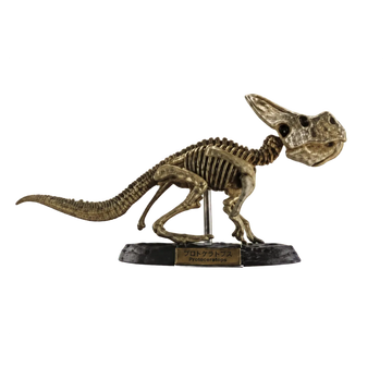 Protoceratops Bone