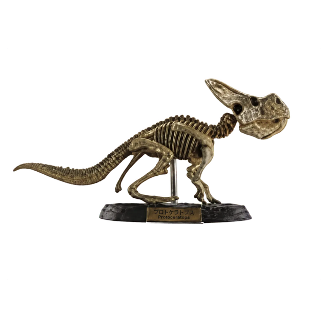 Protoceratops Bone