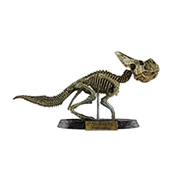 Protoceratops Brown