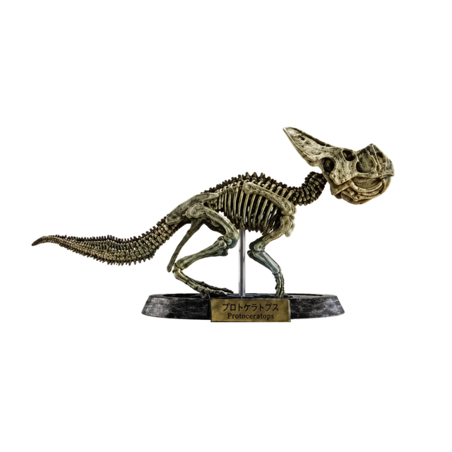 Protoceratops Brown