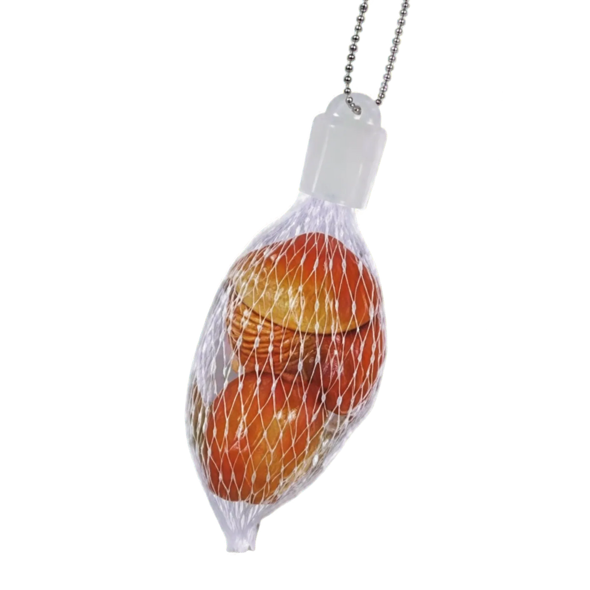 Clam