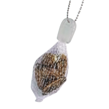 Oyster
