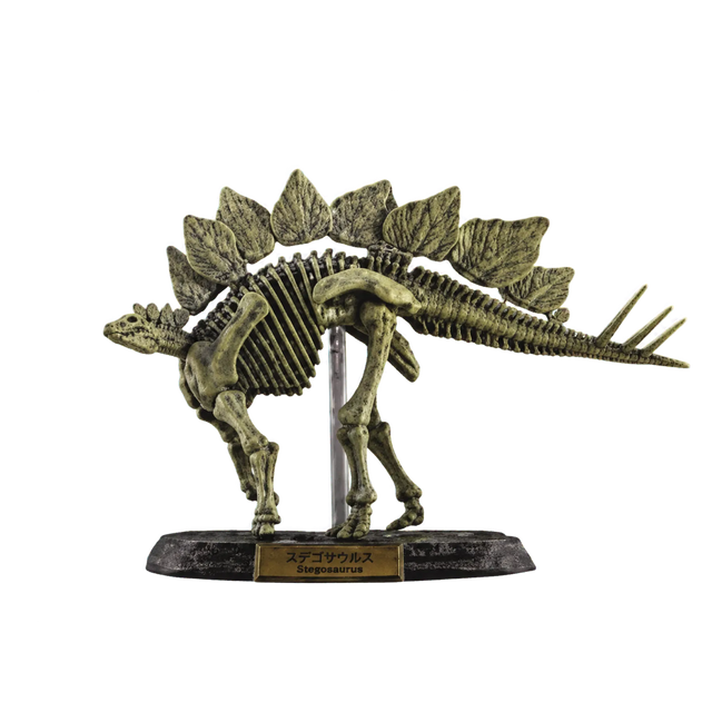 Stegosaurus Bone