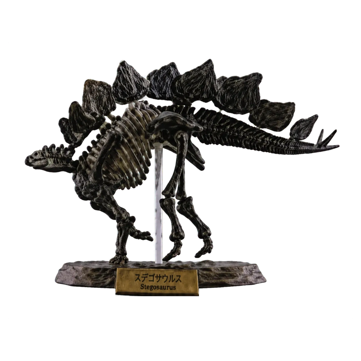 Stegosaurus Dark