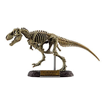 Tyrannosaurus Bone