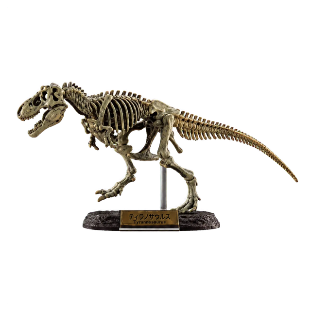 Tyrannosaurus Bone