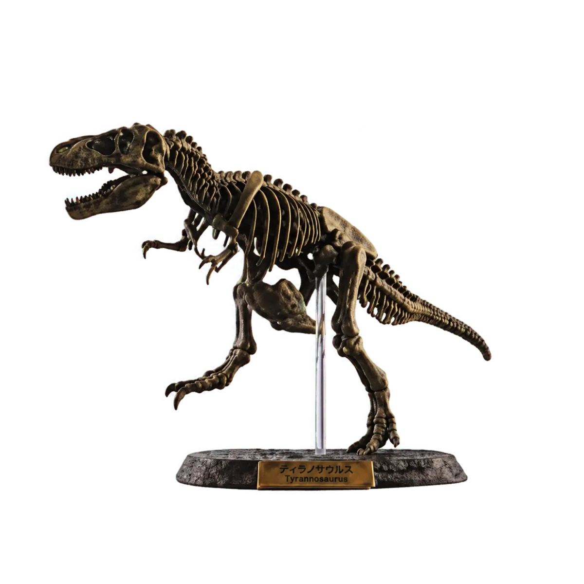 Tyrannosaurus Dark